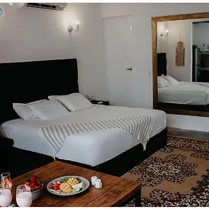  Apartment Elixir Homes Mexiko